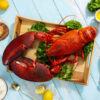 10 lb - 15 lb Live Canadian Lobster