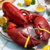 4 lb - 6 lb Live Canadian Lobster