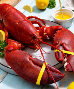 4 lb - 6 lb Live Canadian Lobster