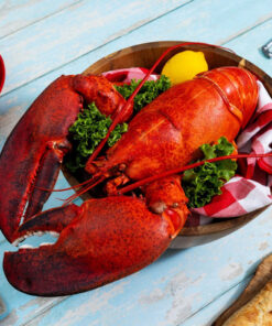 6 lb - 8 lb Live Canadian Lobster