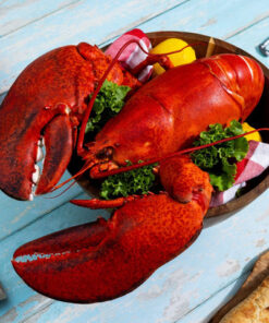 8 lb - 10 lb Live Canadian Lobster