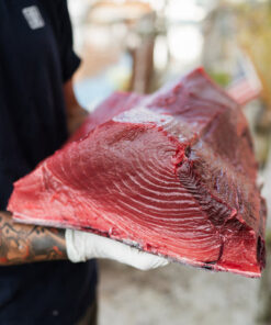 Fresh Maine Bluefin Tuna Loin