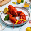 1 lb Live Maine Lobster