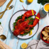 1.75 lb Live Maine Lobster