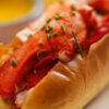 Maine Lobster Roll Kit (6-Pack)