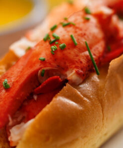 Maine Lobster Roll Kit (6-Pack)